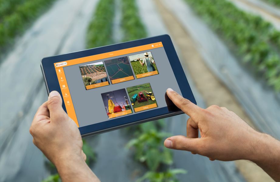 AGROGEST SIEX ASFPLANT