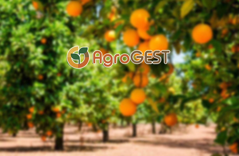 agrogest blog